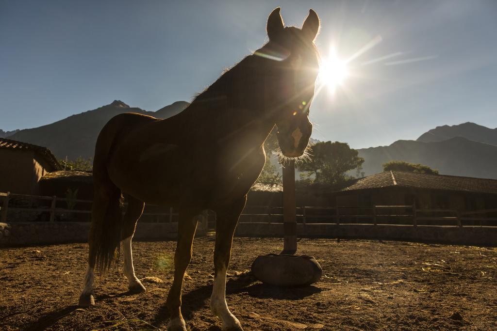 Sol Y Luna - Relais & Chateaux Sacred Valley المظهر الخارجي الصورة